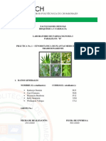 Informe 1 Correcion