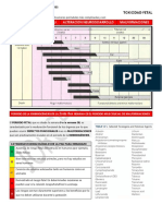 Toxicidad Fetal