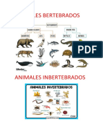 Animales Bertebrados