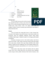 Resensi Buku Novel