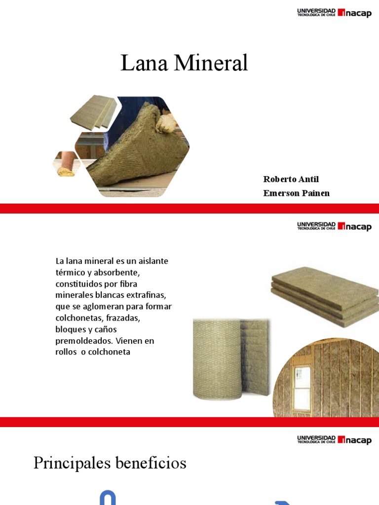 lana-mineral-pdf