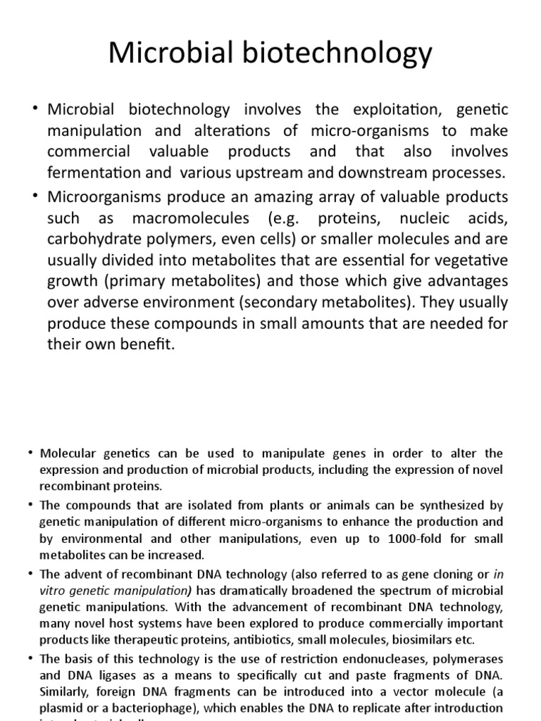 Insulin Production PDF