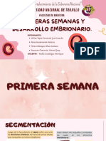 B1 - Primeras Semanas y Desarrollo Embrionario