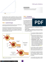 Nefropatia Diabetica Cto