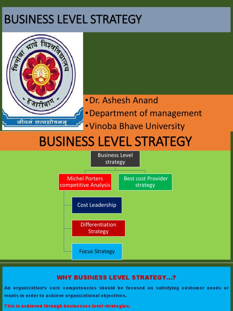 Business Level Strategy PDF