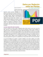 CULTIVOS - Daños Por Radiación en Plantas