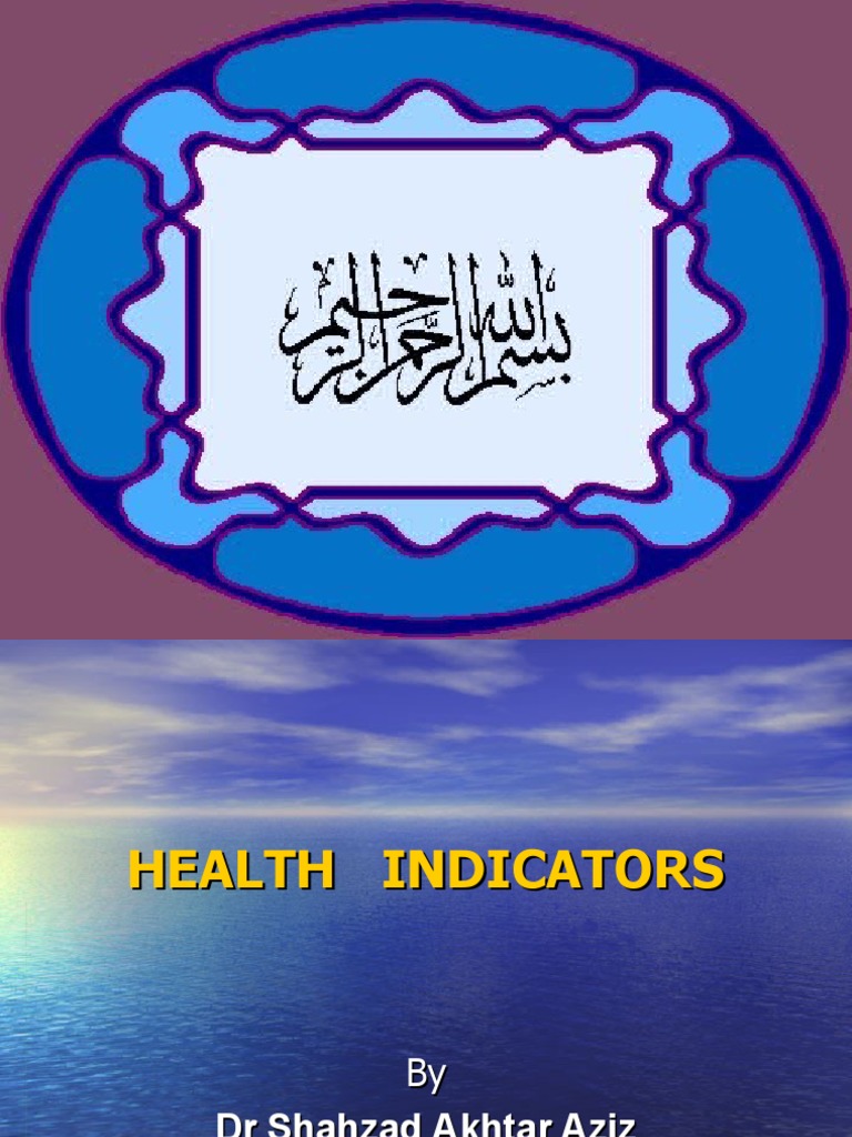 Health Indicators PDF Mortality Rate Life Expectancy