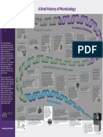 Infographic A Brief History of Microbiology