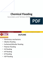 STOR EOR Chemical Flooding