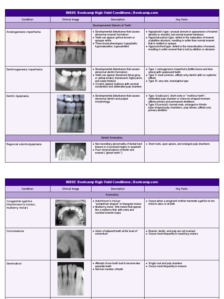 INBDE Bootcamp: Dental Anomalies Guide | PDF | Human Tooth | Tooth Enamel