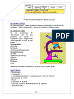 Practica de Laboratorio