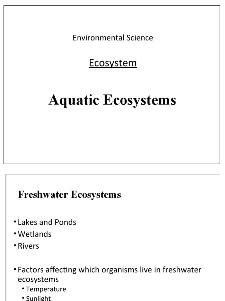 Aquatic Ecosystems | PDF | Estuary | Coral Reef