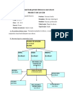 Proiectarea Unei Lecții Privind Elaborarea Unei Afaceri