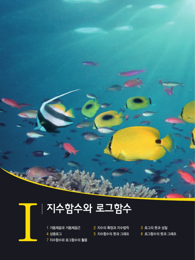 01 지수함수와 로그함수 | PDF