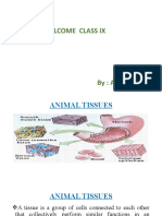 Animal Tissues Class 9th