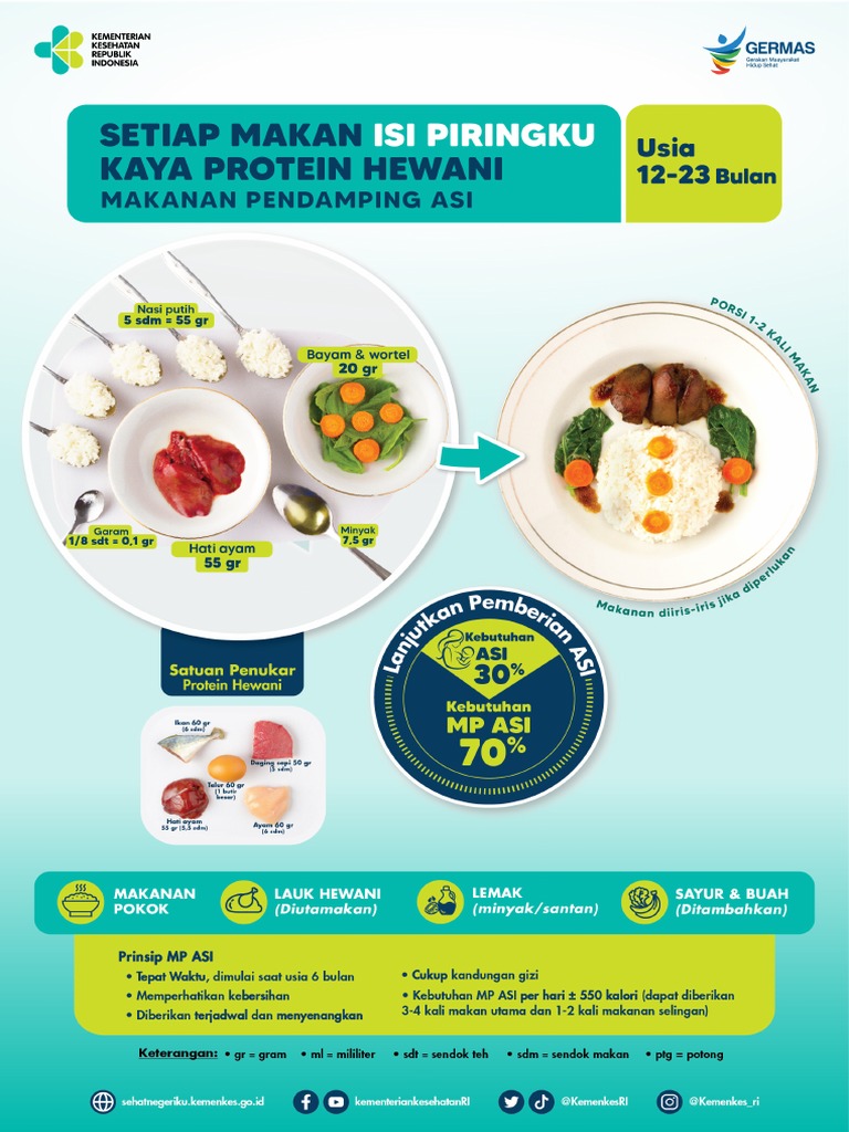 Files52292FA Poster Isi Piringku Bayi Balita (12-23) | PDF