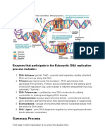 Steps of DNA Replication Reviewer