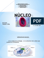 Tema 20 Nucleo