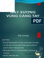 chuyên-đề-gãy-xương-cẳng-tay. FINALpptx