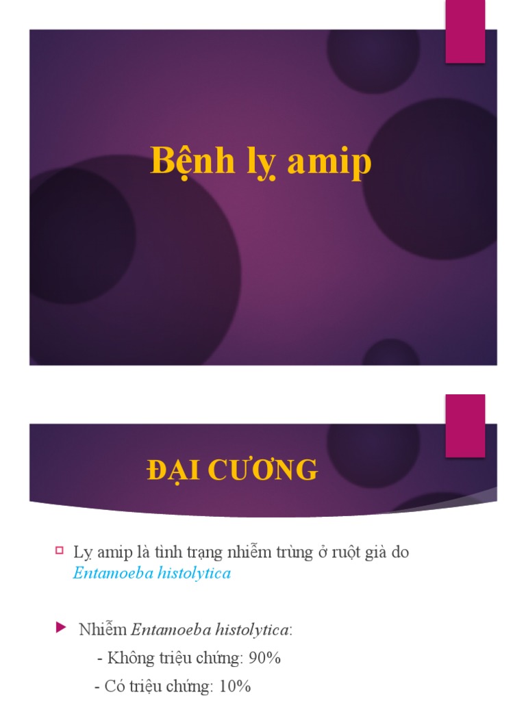Ly Amip | PDF