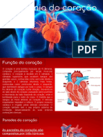 Trabalho em Grupo Anatomia