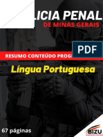 Português Resumo PPMG 2022