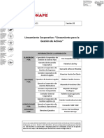 Lineamiento para La Gestión de Activos