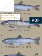 The Brown Trout Nomenclature Debacle Without Markup