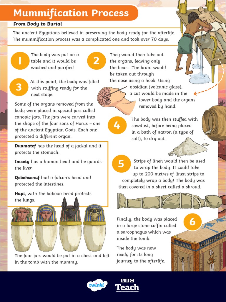 FACTS ABOUT MUMMIFICATION IN ANCIENT EGYPT FOR KIDS intelligence overview