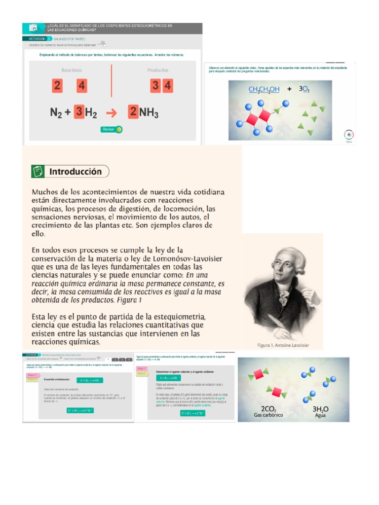Leyes de La Conservación PDF