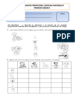 Prueba Trimestral Ciencias