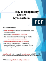 Respiratory System, Mycobacteria May