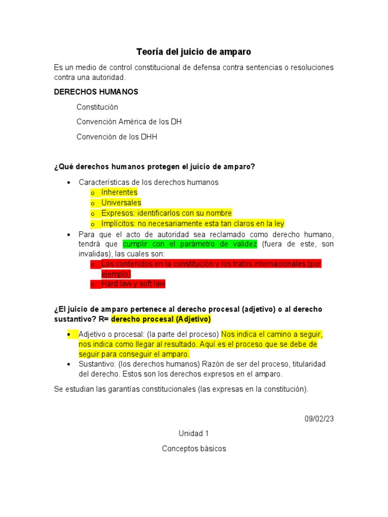 Juicio de Amparo y Derechos Humanos | PDF | Sentencia (ley) | Ley procesal