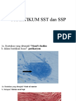 Praktikum SST Dan SSP