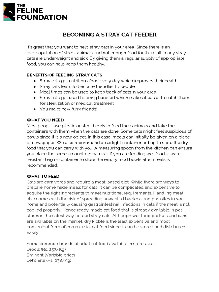 Feeding Guidelines for Stray Cats | PDF | Cats | Neutering