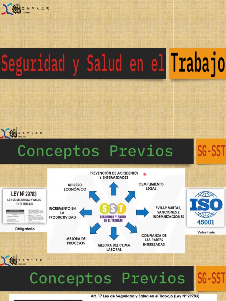 Sistema De Gestión De Seguridad Y Salud En El Trabajo Básico Pdf