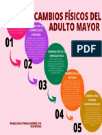 Diagrama de Cambios Físicos Del Adulto Mayor