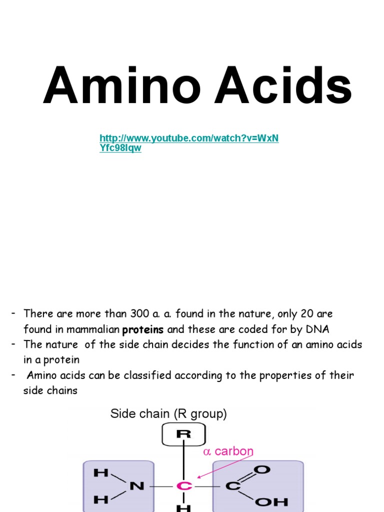 Amino Acid | PDF | Amino Acid | Acid
