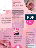 Pink Aesthetic Nails Art Brochure