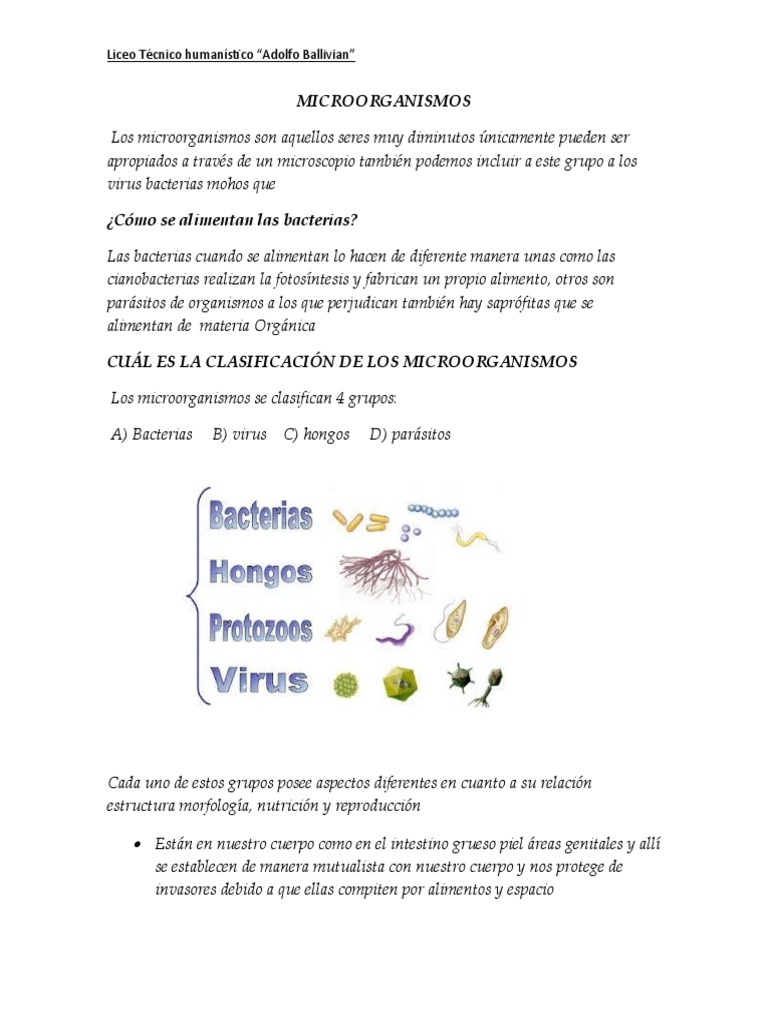 Microorganismos y Nutrición: Guía Completa | PDF | Alimentos ...
