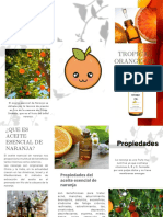 Triptico de Aceite de Naranja