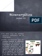 Unidad 3. Bioenérgetica