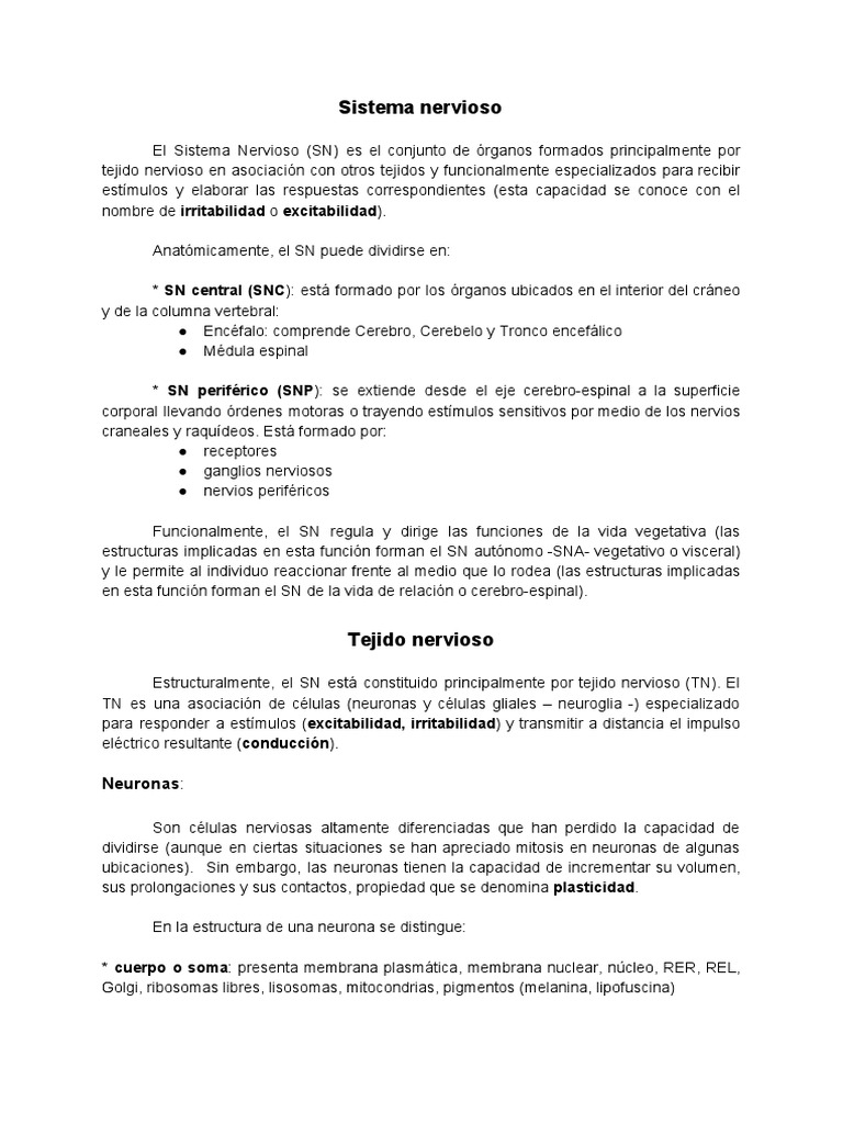 Sistema Nervioso | PDF | Sinapsis | Sistema nervioso