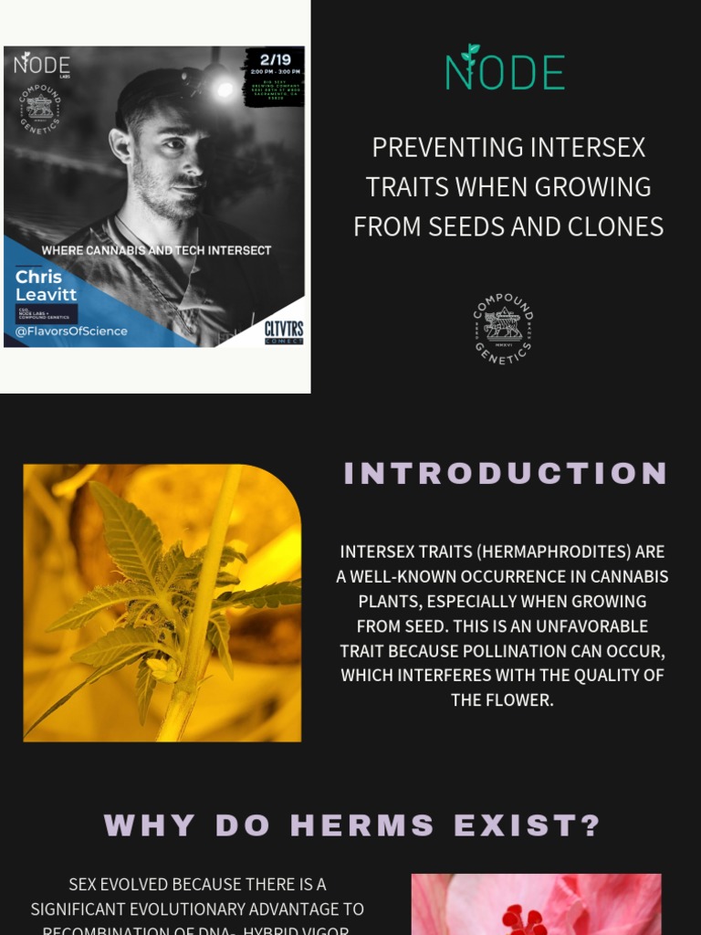 Preventing Intersex Traits PDF Flowers Evolution