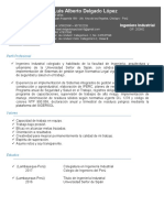 CV-Luis Delgado PDF