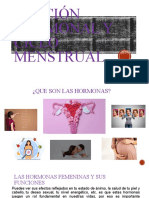 Función Hormonal y Ciclo Menstrual