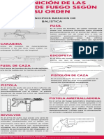 Definición de Las Armas de Fuego Según Su Orden-Eaa PDF