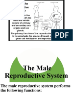 Reproductive Endocrine Integumentary