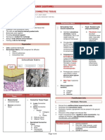 Lecture 3 Connective Tissue