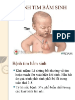 ppt tim.shunt từ trái sang phải